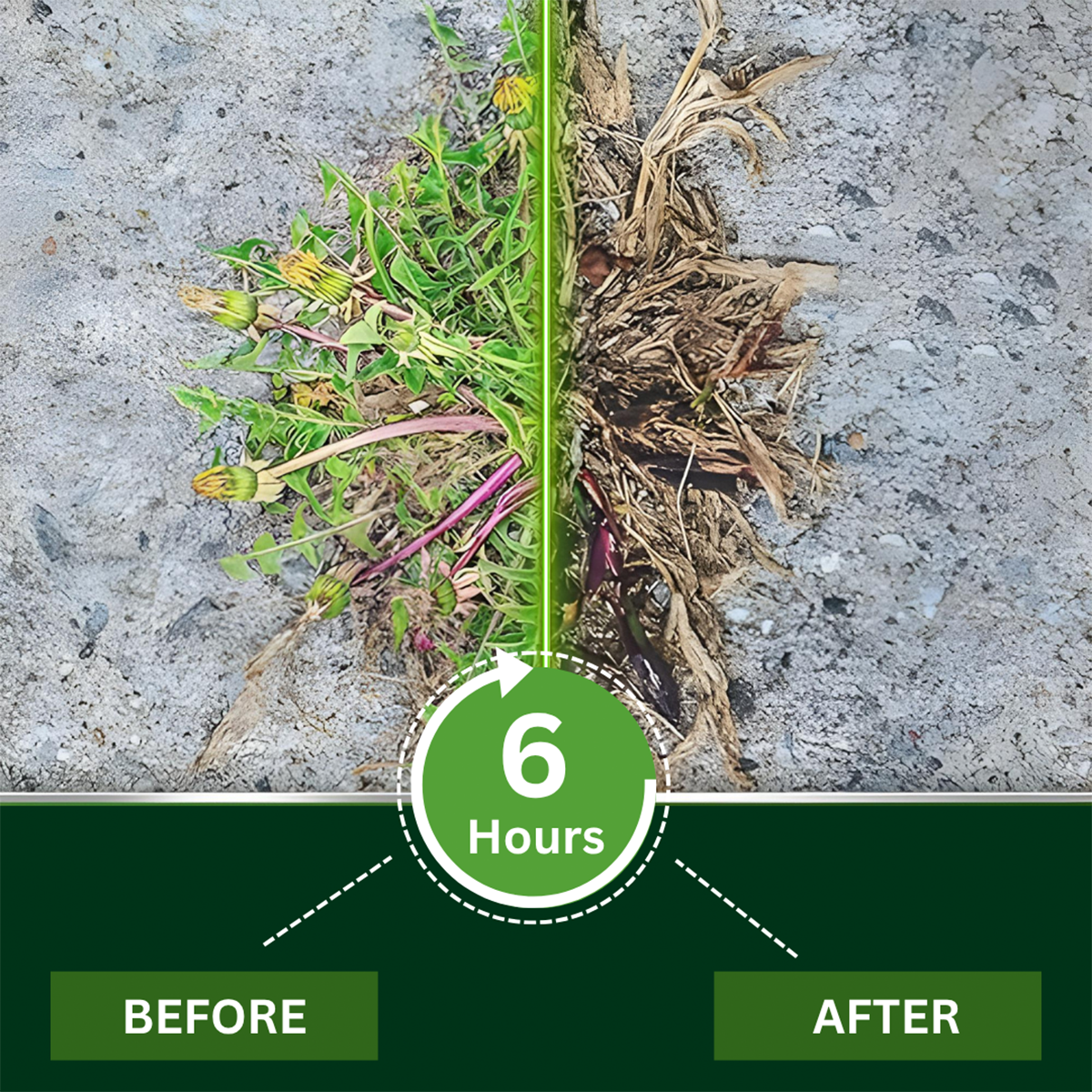Piguiay® 2 in 1 Max Power Herbicide
