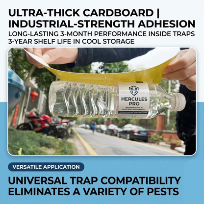 Dual-Sided Yellow Sticky Traps for Flying Plant Insects Like Fungus Gnats, Whiteflies, and Aphids | Premium Pest Control