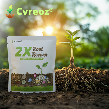 🖤🔥𝘽𝙡𝙖𝙘𝙠 𝙁𝙧𝙞𝙙𝙖𝙮 𝙨𝙖𝙡𝙚 | Cvreoz® 2X Root Reviver