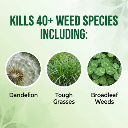 ✨UK 𝙊𝙛𝙛𝙞𝙘𝙞𝙖𝙡 𝙎𝙩𝙤𝙧𝙚 | Healrize® 2-in-1 Max Strength Herbicide:𝐅𝐚𝐬𝐭 𝐀𝐜𝐭𝐢𝐧𝐠 𝐑𝐞𝐬𝐮𝐥𝐭𝐬 on Glyphosate-Resistant Weeds